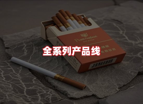 专业团队